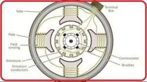 Single Phase Induction Motors